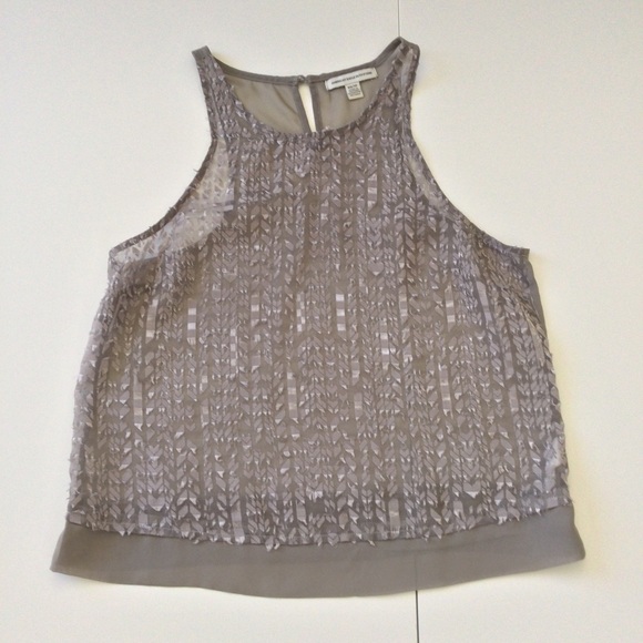 American Eagle Outfitters Tops - American Eagle Outfitters Sheer Textured Sleeveless Top Gray XS